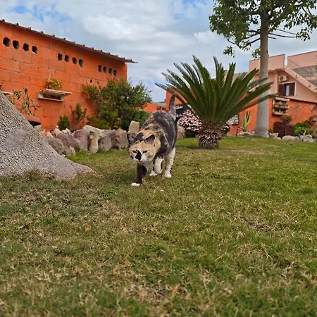 Bed & Breakfast Domu Delunas