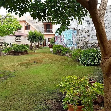 Domu Delunas Bed & Breakfast Giba